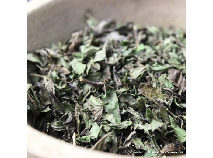 Menthe Poivrée