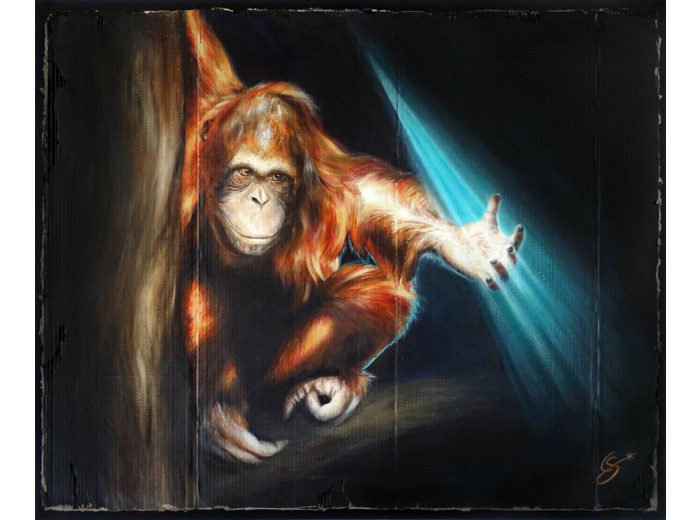 Orang-outan