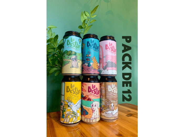 Pack 12 Canettes 44cl