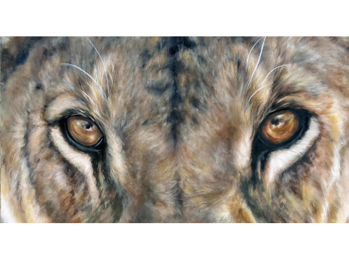 Lionne Masaï Mara
