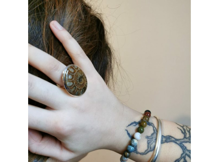 Ammonite