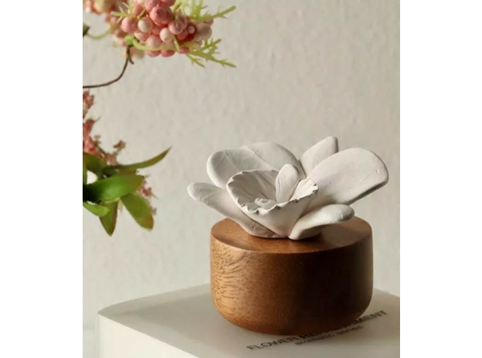 Diffuseur Orchidée