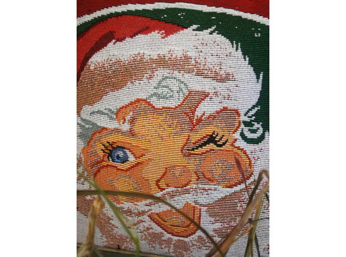 COUSSIN DE NOEL