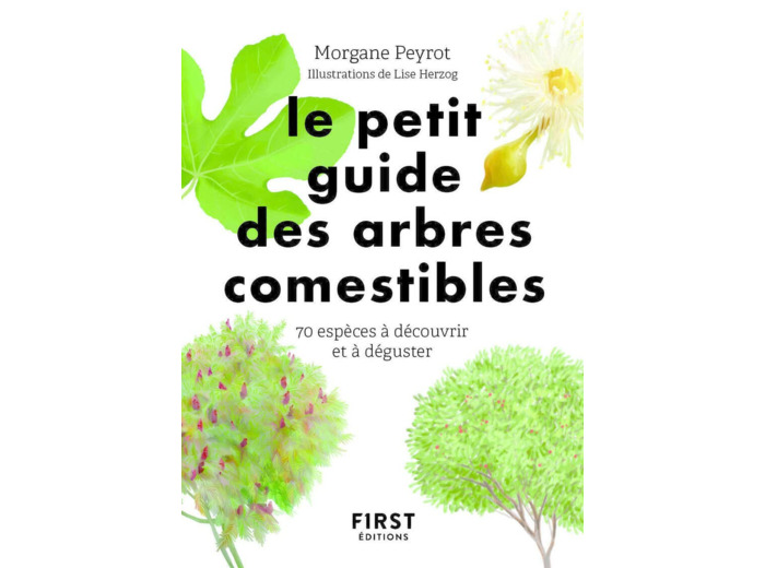 PETIT GUIDE DES ARBRES COMESTIBLES