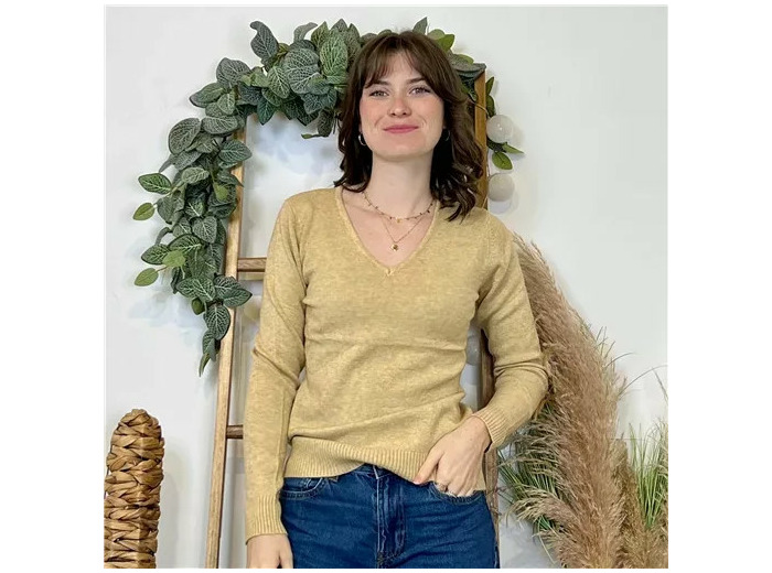 Y370- Pull Épais sans laine «Voggo» (T36-T48) (taupe)