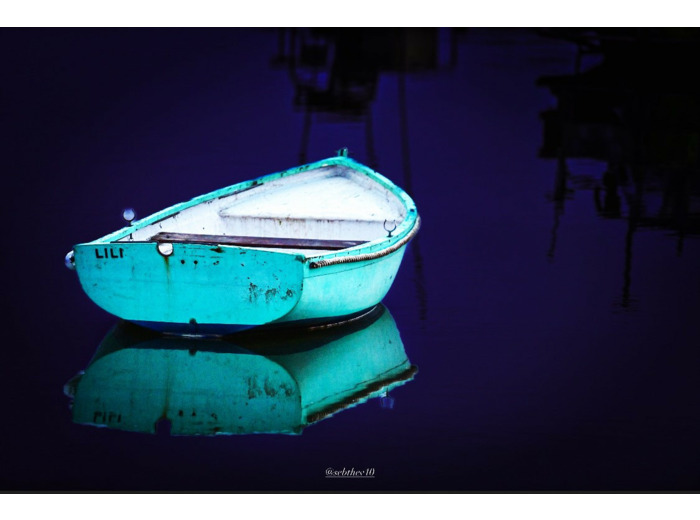 La barque