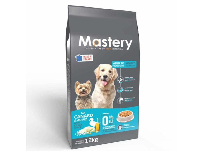 Mastery chien canard