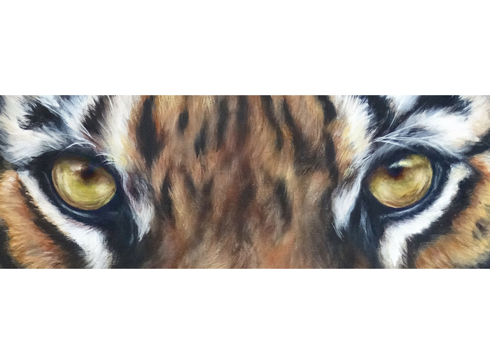"Hypnos" Tigre