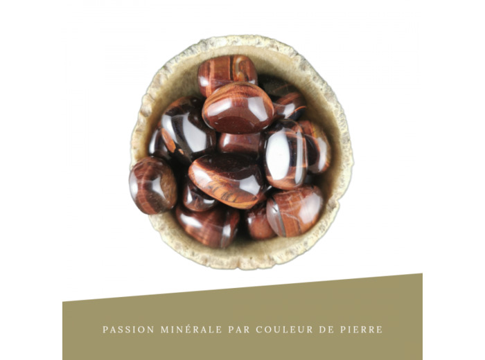 Oeil de Taureau