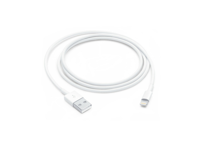APPLE Câble Lightning 1m