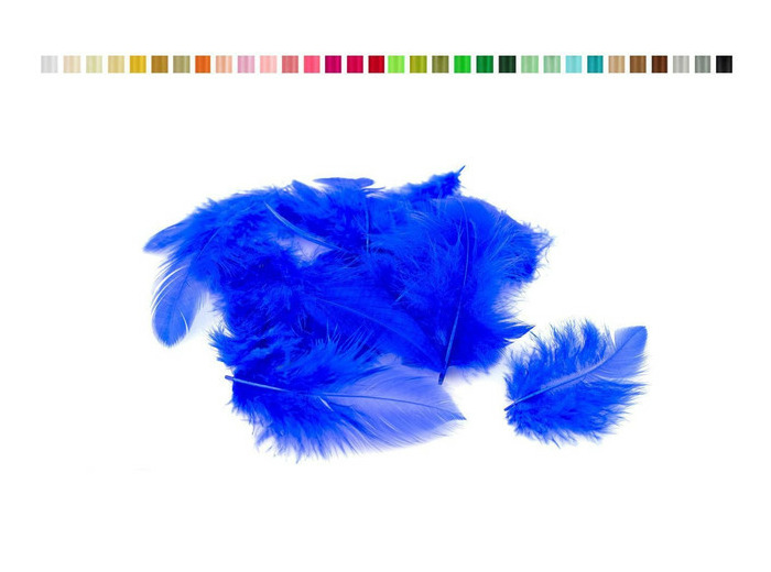 Plumes 6-10 cm bleu roi 352