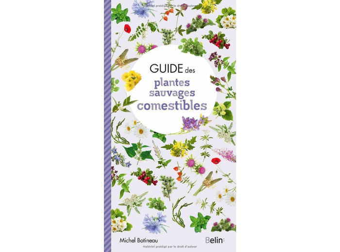 GUIDE DES PLANTES SAUVAGES COMESTIBLES