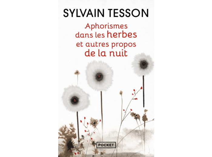 APHORISMES DANS LES HERBES ET AUTRES PROPOS DE LA NUIT