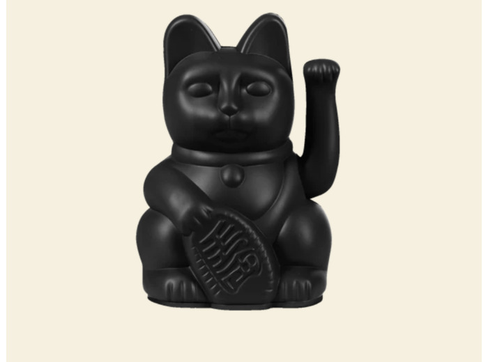 DONKEY lucky cat noir