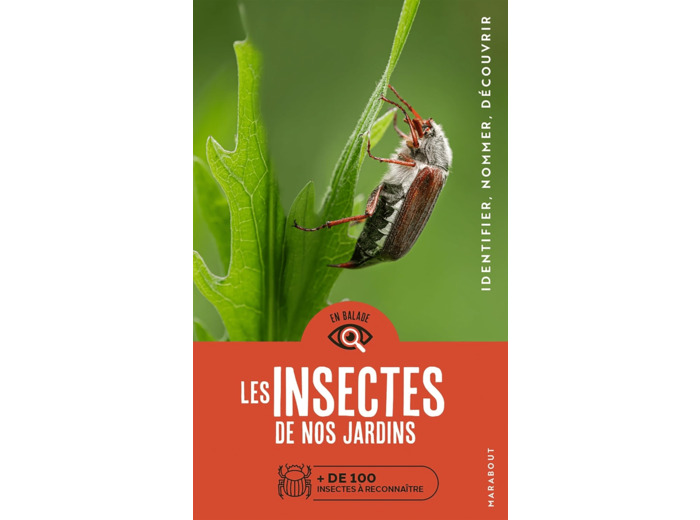 EN BALADE - LES INSECTES DE NOS JARDINS