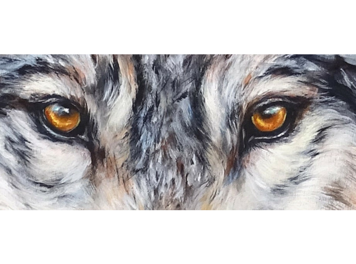 Le loup