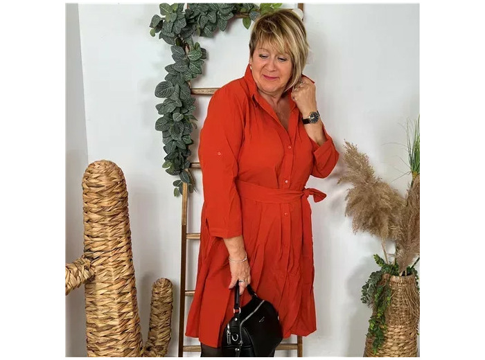 Z393- Christy Robe unie (T44-T52) (rouille)