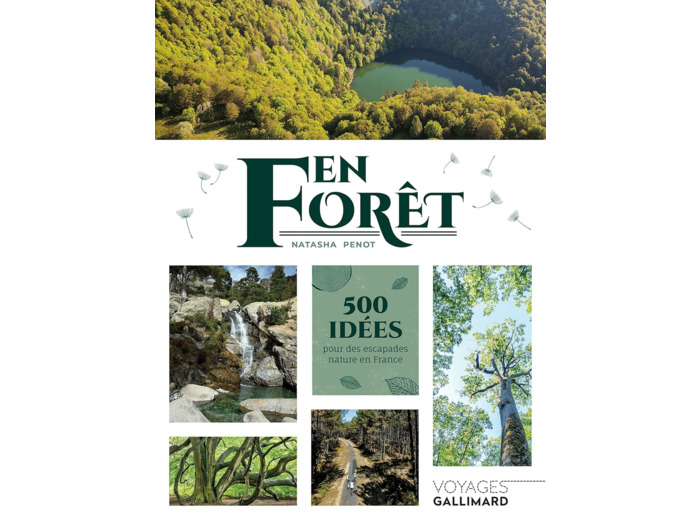 EN FORET - 500 IDEES POUR DES ESCAPADES NATURE EN FRANCE