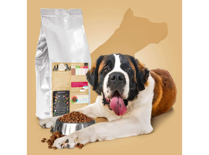 Croquettes Vetsaveur chien grande race 11kg