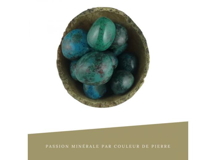 Chrysocolle