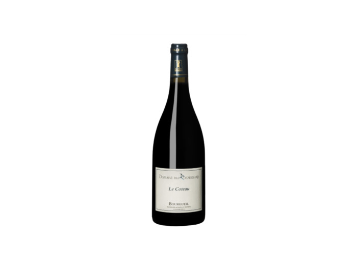 BOURGUEIL BIO LES COTEAUX AOP ROUGE  DOMAINE DU ROCHOUARD