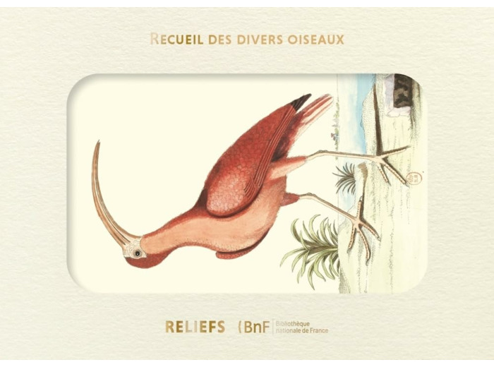 LIVRE D'IMAGES - RECUEIL DE DIVERS OISEAUX