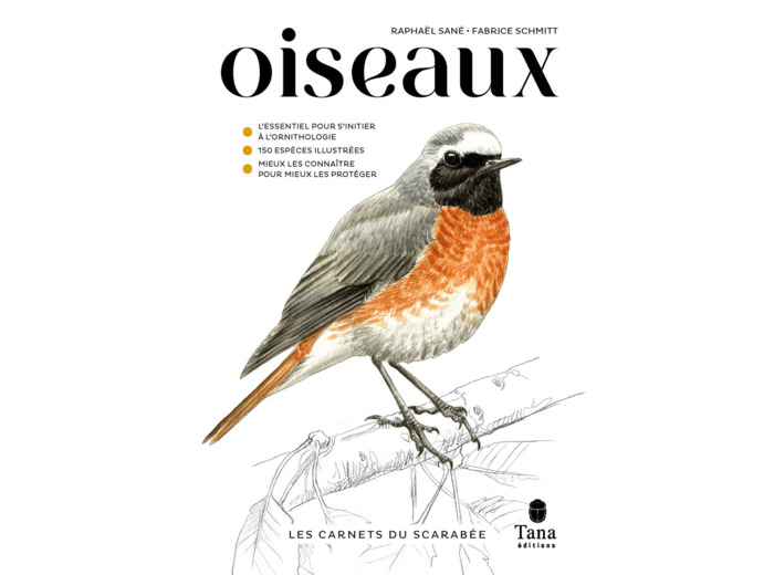 LES CARNETS DU SCARABEE - OISEAUX