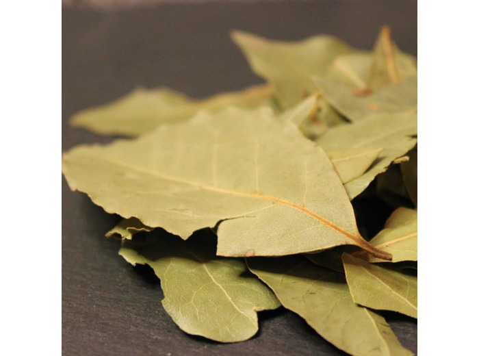 Feuilles de laurier
