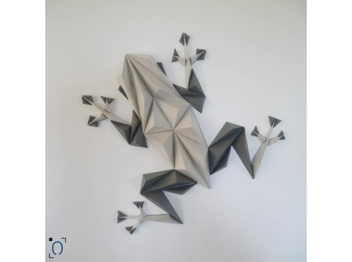 Grenouille Grise en 3D - 33x30cm