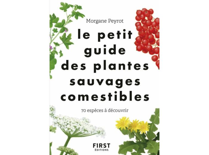 LE PETIT GUIDE DES PLANTES SAUVAGES COMESTIBLES
