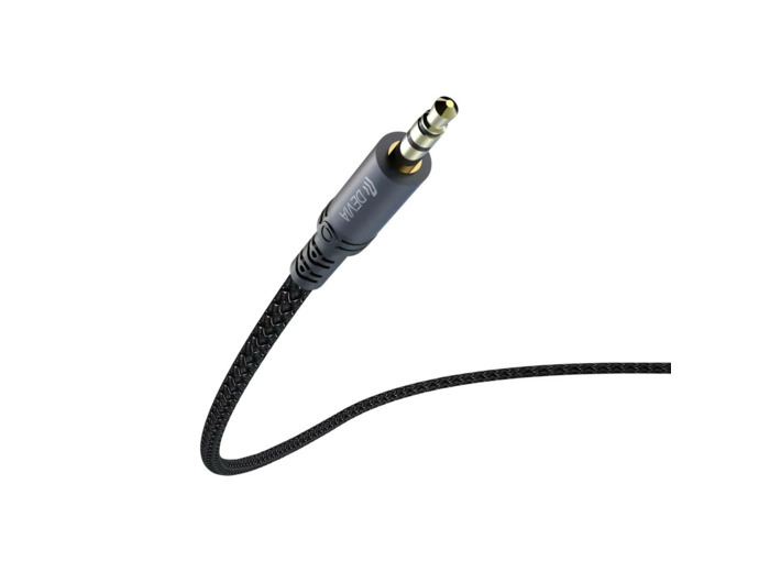 DEVIA Câble USB-C ou Lightning Vers Jack 3,5mm 1m (Noir)