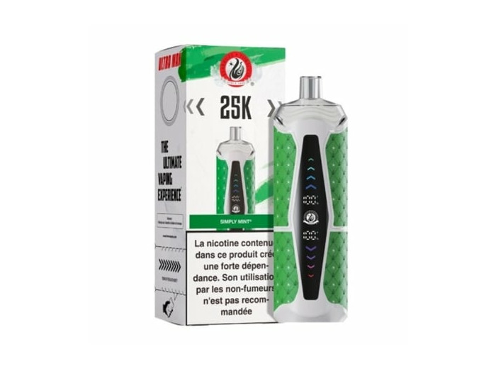 Puff Chicha - Spearmint - 25K Starbuzz