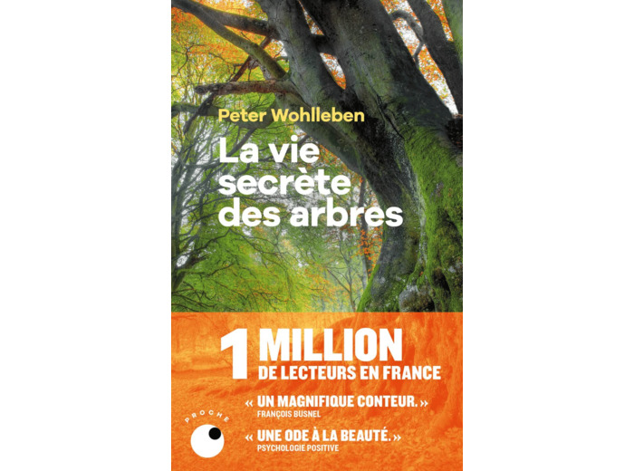 LA VIE SECRETE DES ARBRES