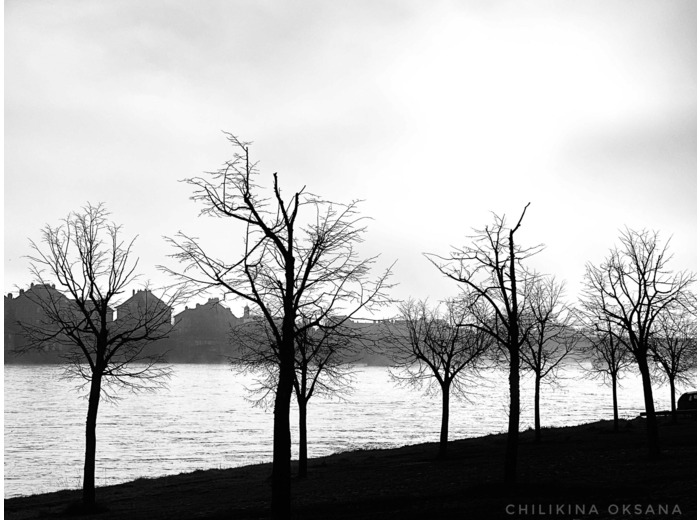 Loire saumuroise en noir et blanc