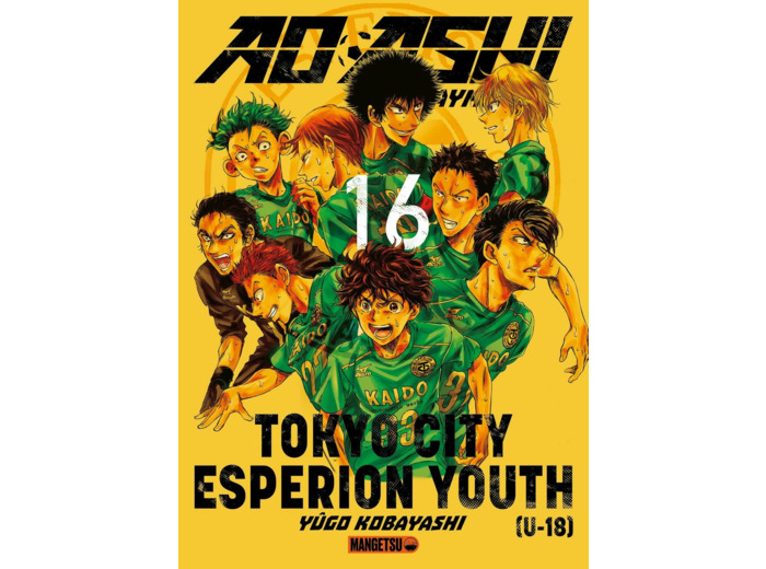 AO ASHI T16