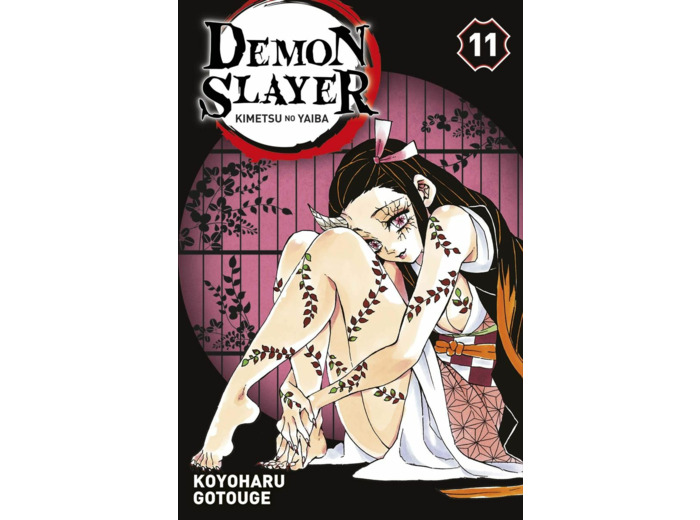 DEMON SLAYER T11