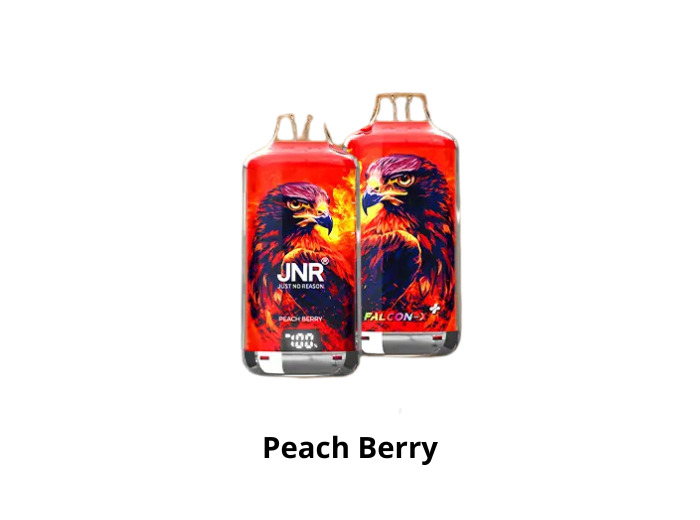 Puff 28k - JNR Falcon X + - Peach Berry