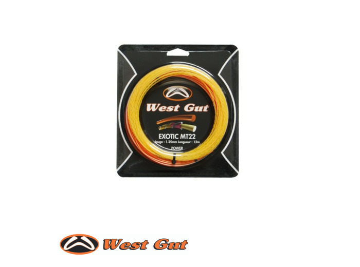 CORDAGE WEST GUT MT 22 GOLD Exotic