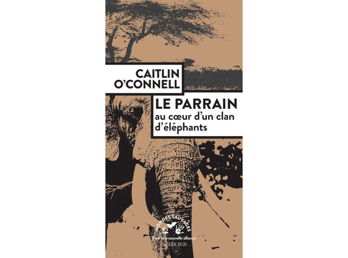 LE PARRAIN. AU COEUR D'UN CLAN D'ELEPHANTS