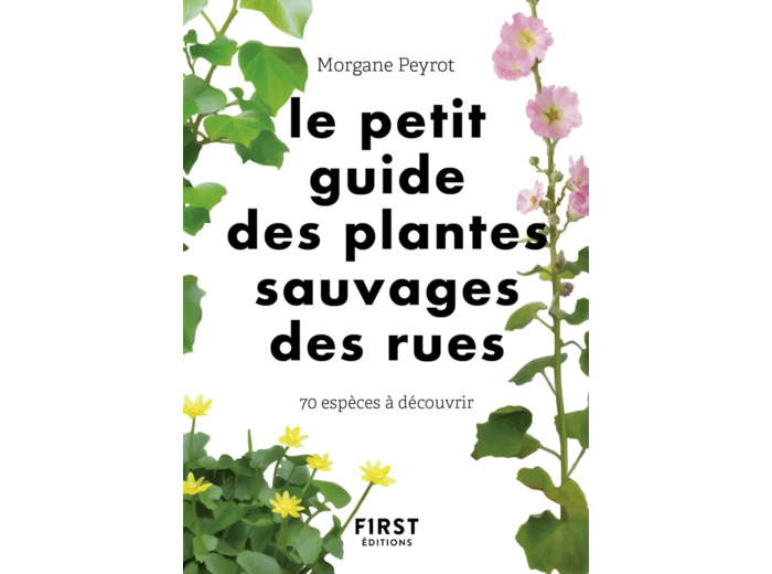 LE PETIT GUIDE DES PLANTES A ABEILLES - 70 ESPECES MELLIFERES A DECOUVRIR