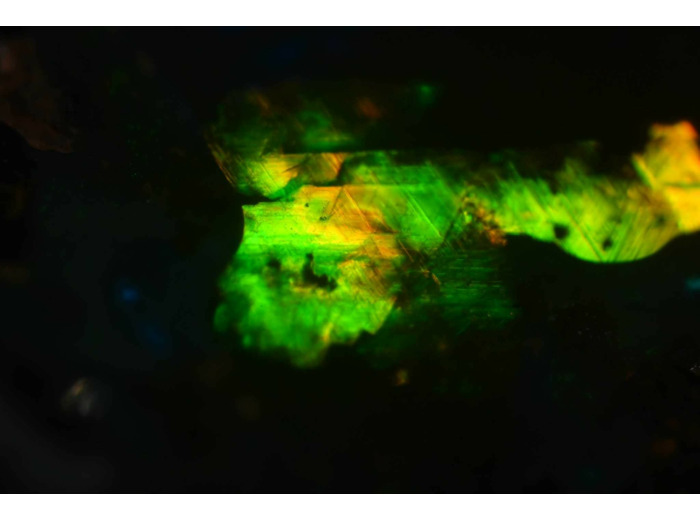 "The Australia mystical treasure" par Timéo BARBOUX