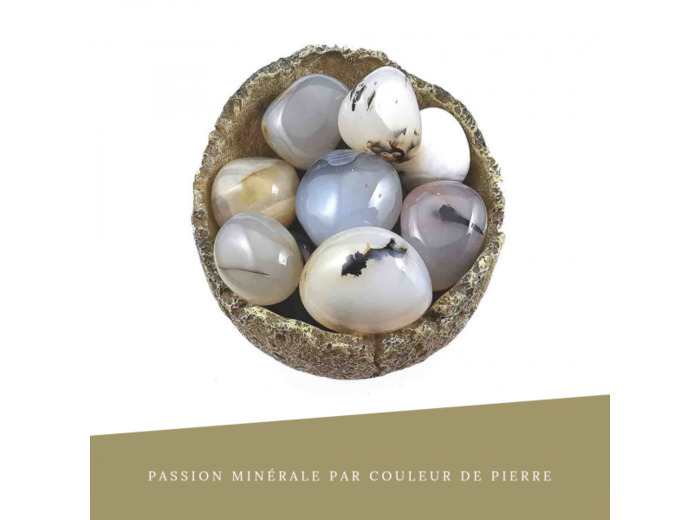 Agate à arbre