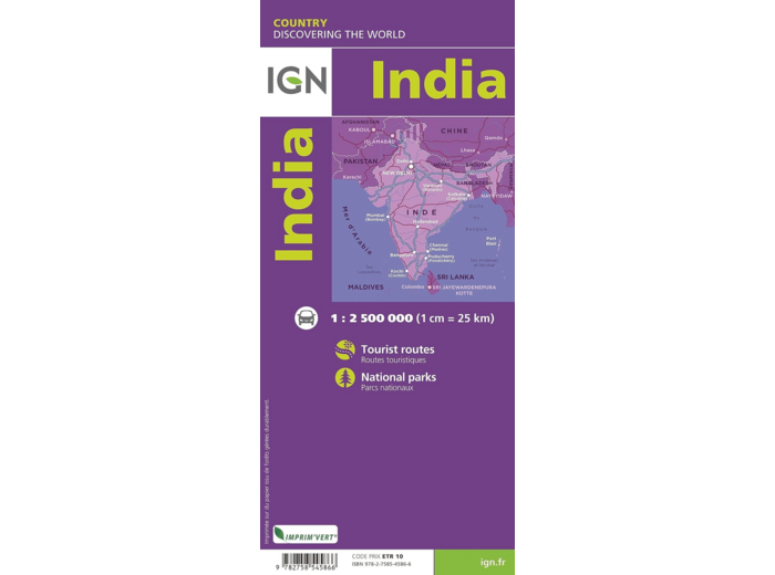 INDE RECTO