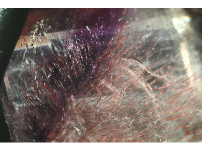 "Plume par Delphine JUGUERA