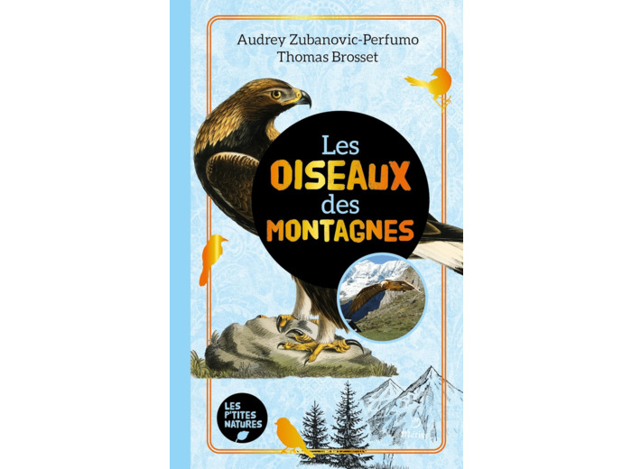 LES OISEAUX DES MONTAGNES