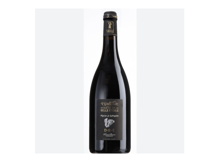 AOP ANJOU VILLAGES BRISSAC MARNE A OSTRACEES DOMAINE LA BELLE ETOILE 2017