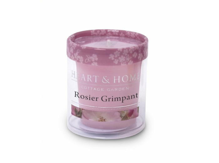BOUGIE VOTIVE ROSIER GRIMPANT