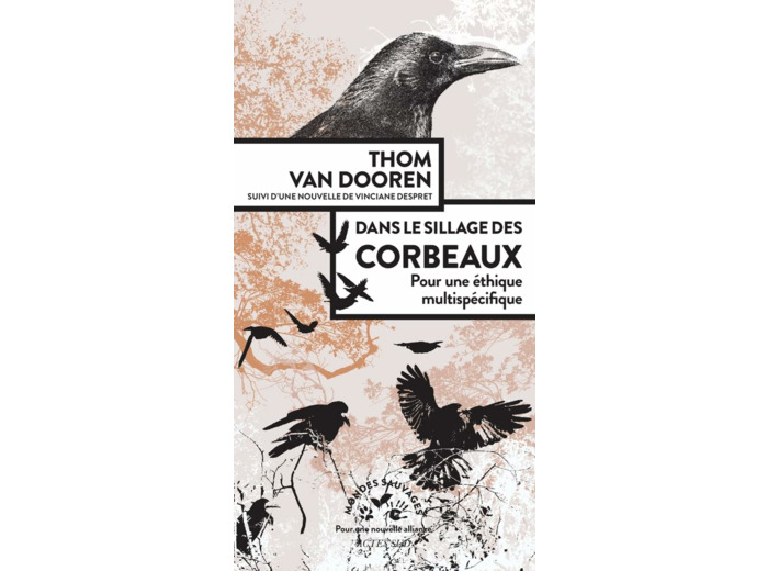 DANS LE SILLAGE DES CORBEAUX