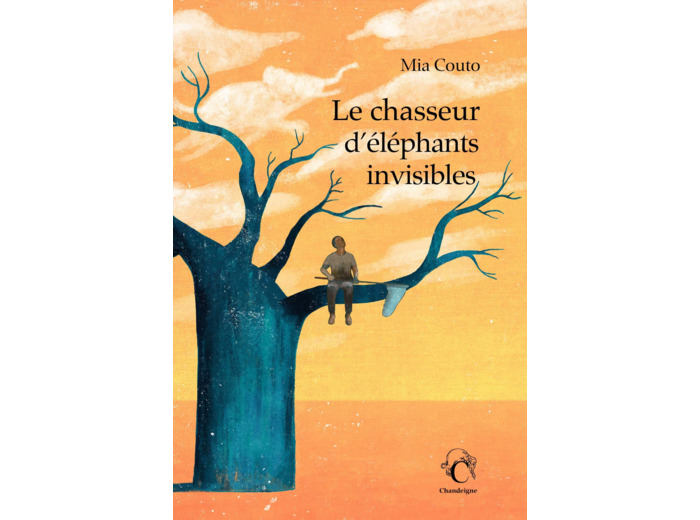 LE CHASSEUR D'ELEPHANTS INVISIBLES