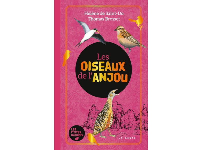 LES OISEAUX DE L'ANJOU
